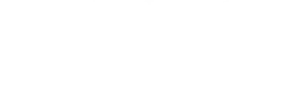 Experience Encountering something you'll want to come back for.